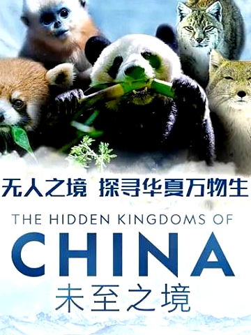 未至之境
